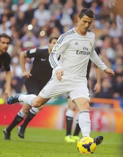 球队中的价 球队中的价