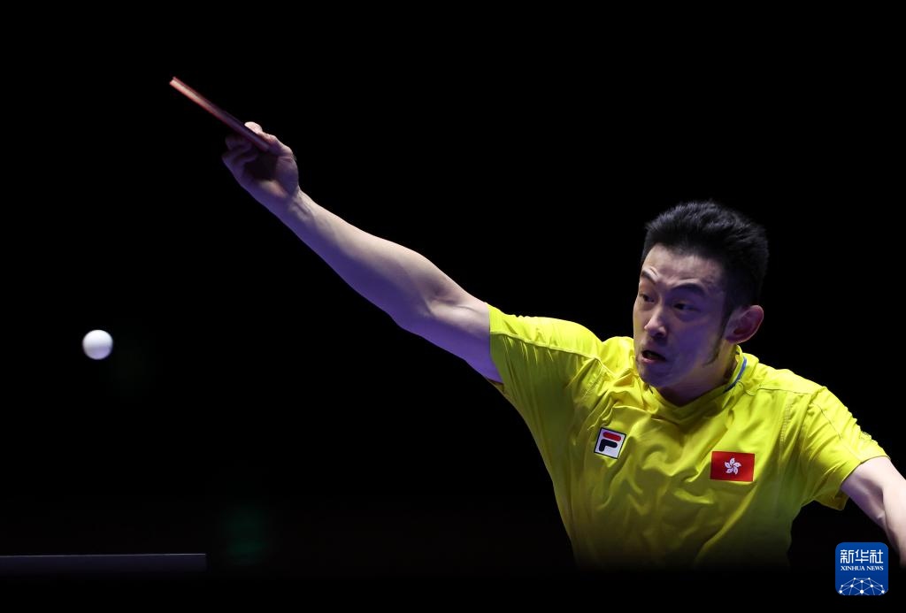 从而将门将 从而将门将