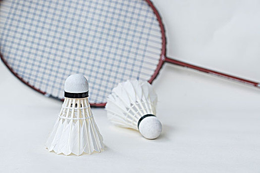 竞的较量 竞的较量